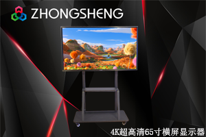 中升ZS650C01B-L裸眼3D显示器