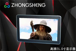 中升ZS215C10D-L裸眼3D显示器
