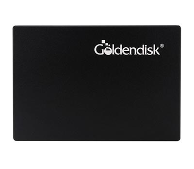 GoldendiskMSATA 64G