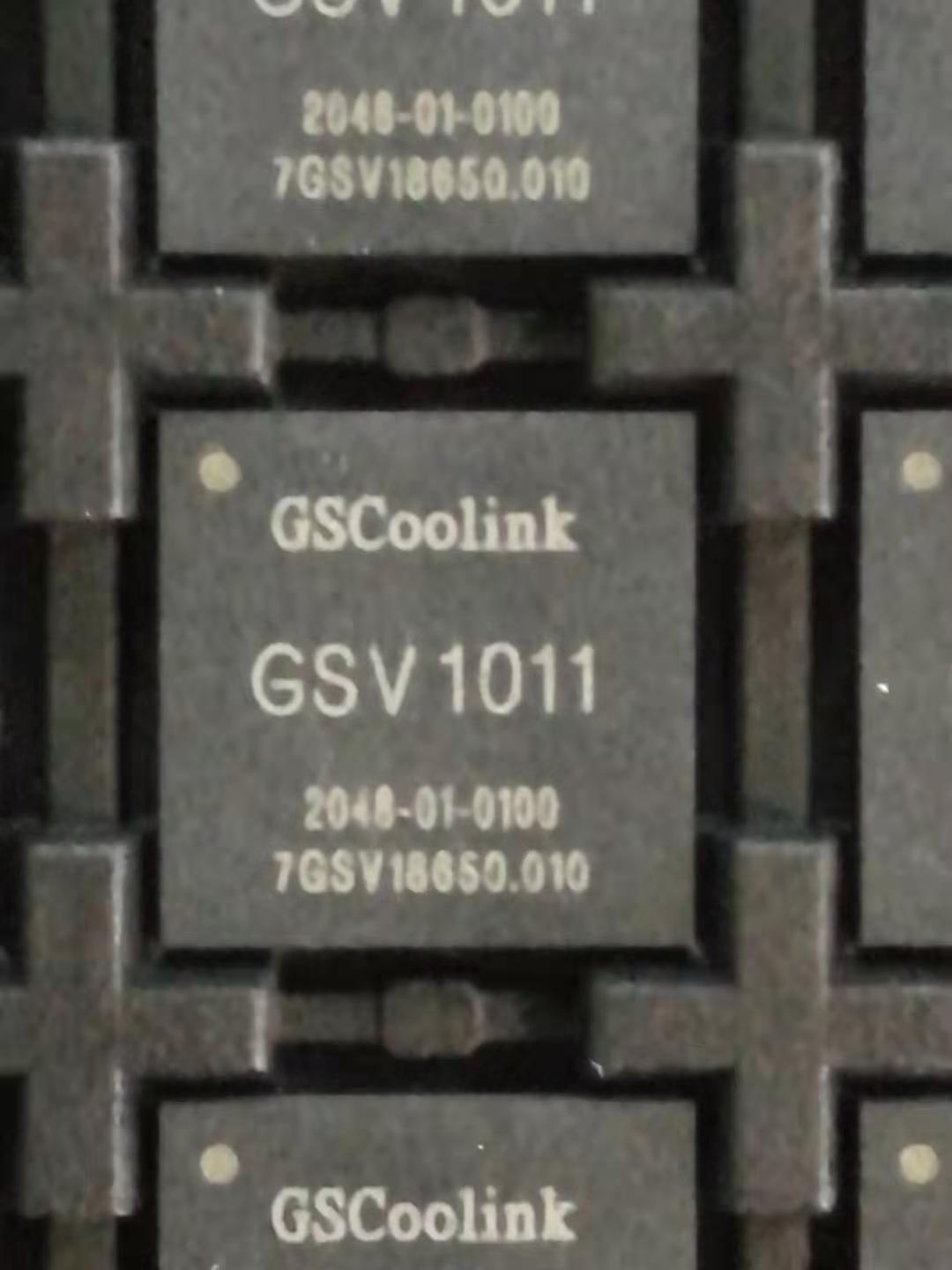 GSV1011