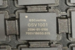 GSV1001